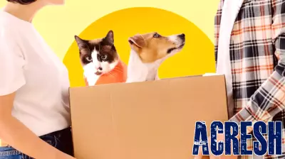 The Rising Importance of Pets in American Households and Real Estate